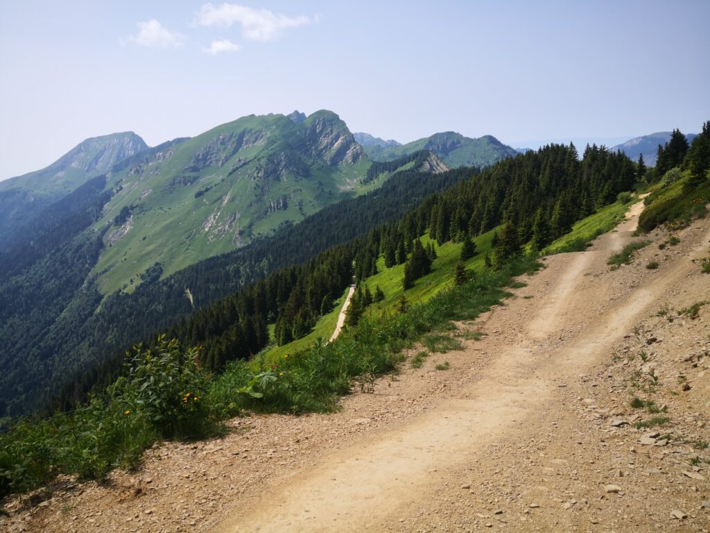 Panoramicにて